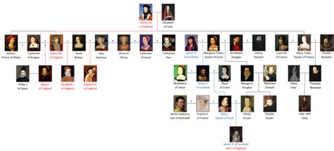 tudor dynasty wikipedia